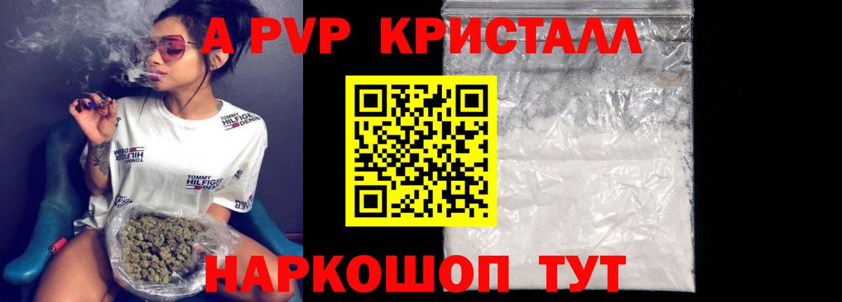 где найти   Вход с VPN  Тосно  APVP VHQ  Alfa_PVP VHQ  Alfa_PVP СК КРИС 